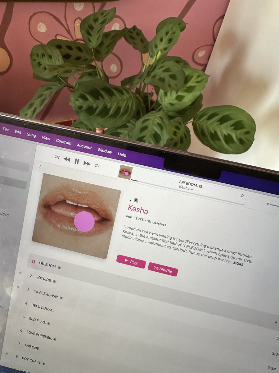 now playing —

#letsparty