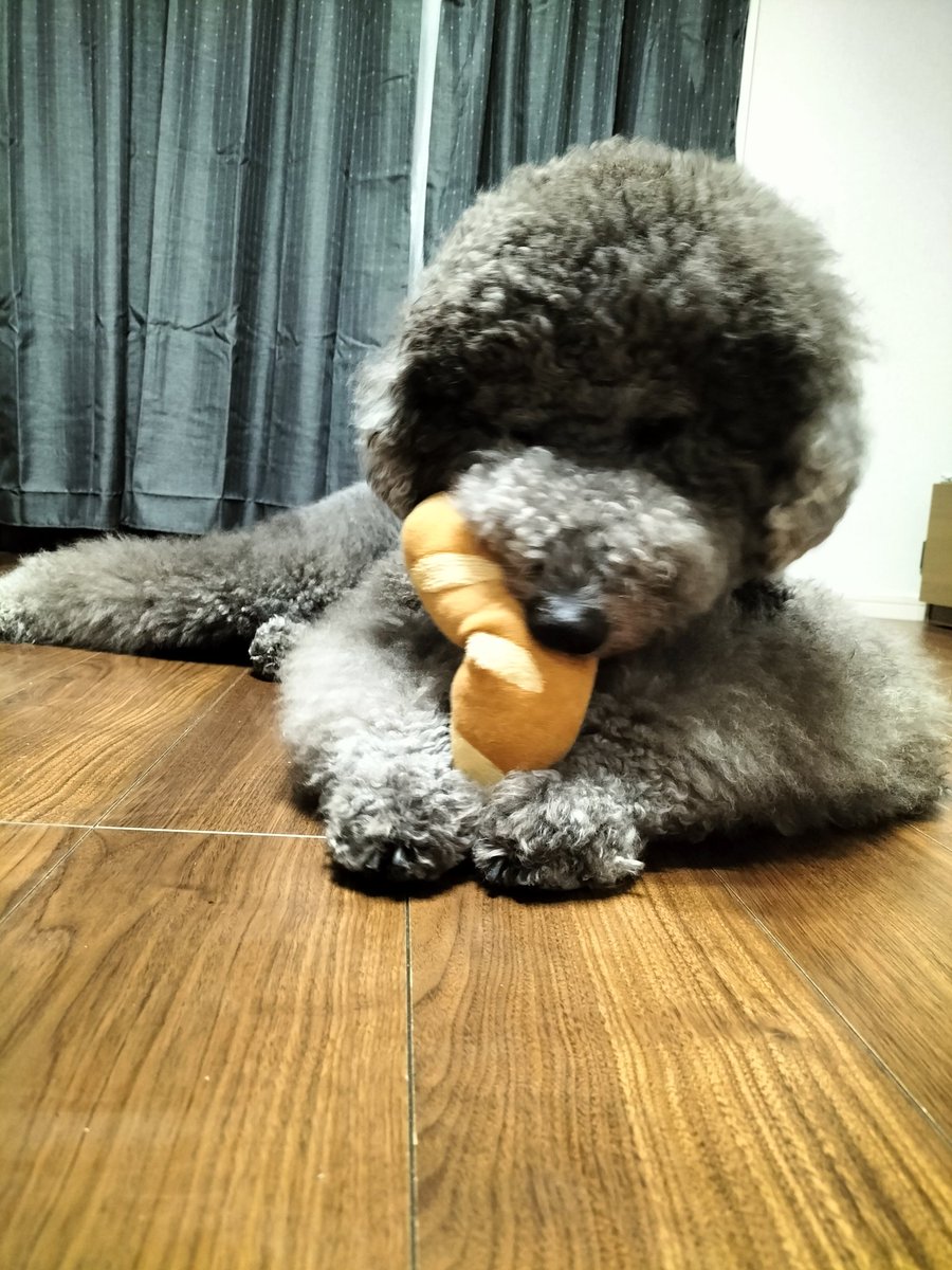 dango0609's tweet photo. パンうまうま https://t.co/VuudYfrqBK