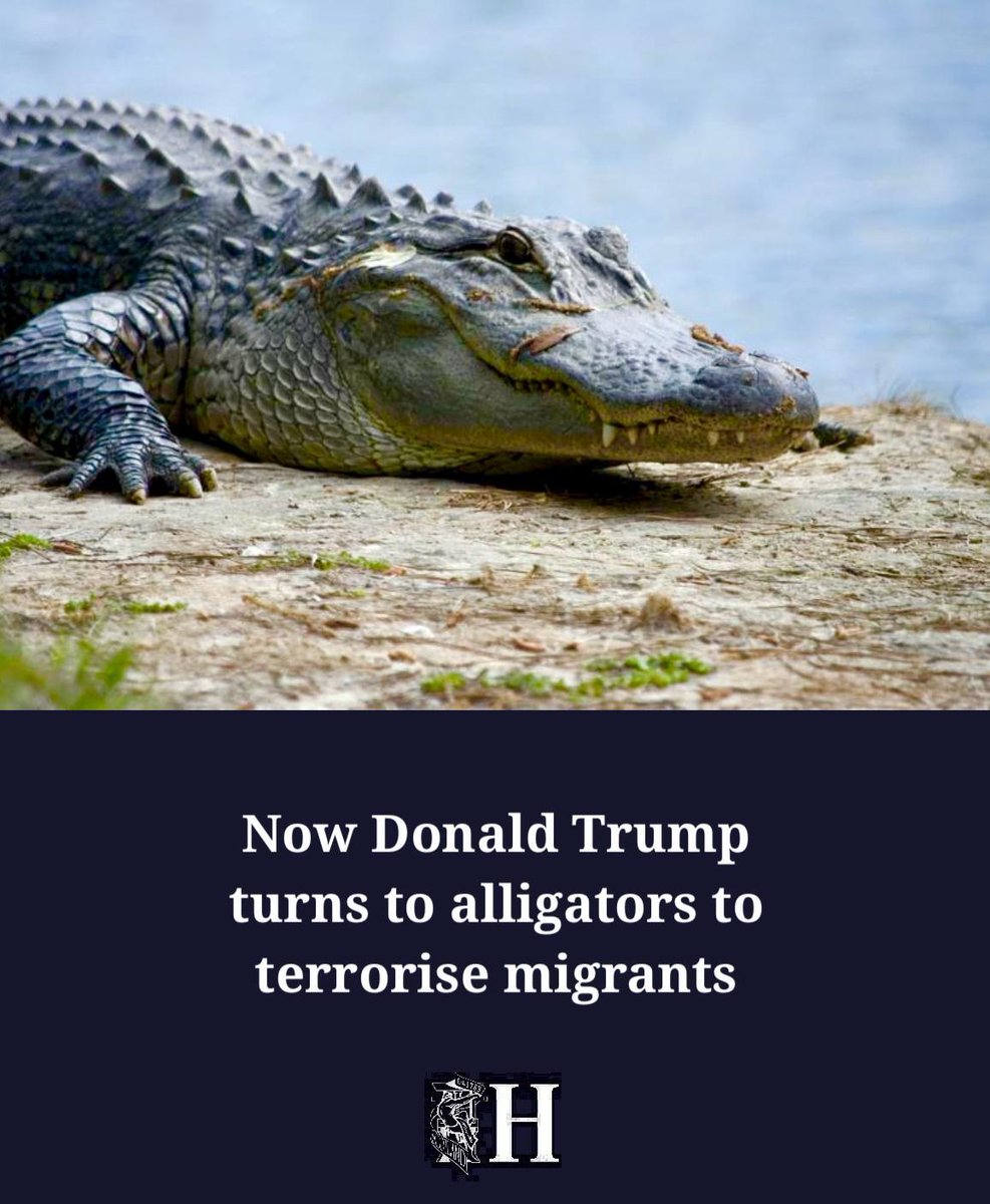 The Herald (@heraldscotland) on Twitter photo 'Mirthless jokes about vulnerable othered minorities trying to escape man-eating animals. This is what happens when empathy dies'
<a href="/BecMcQ/">Rebecca McQuillan</a> 'Mirthless jokes about vulnerable othered minorities trying to escape man-eating animals. This is what happens when empathy dies'
<a href="/BecMcQ/">Rebecca McQuillan</a>