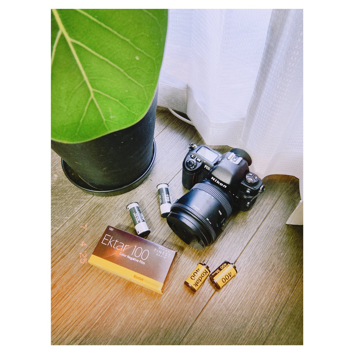 kohta_pixx's tweet image. 昨日 撮影開始直前にフィルムセットしてたNikon F100 SIGMA 24-70 を落としてしまいエラー表示に…

フィルム出してベロ出し、外れたスクリーンをはめ直しで復活してくれました！ 内心、終わった…と思いつつ！

どうか写ってますように🫧 そして、既に高級ブローニー Ektar100も初使用 #Dazz