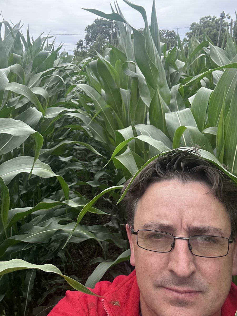 8 ft tall on the 4th July