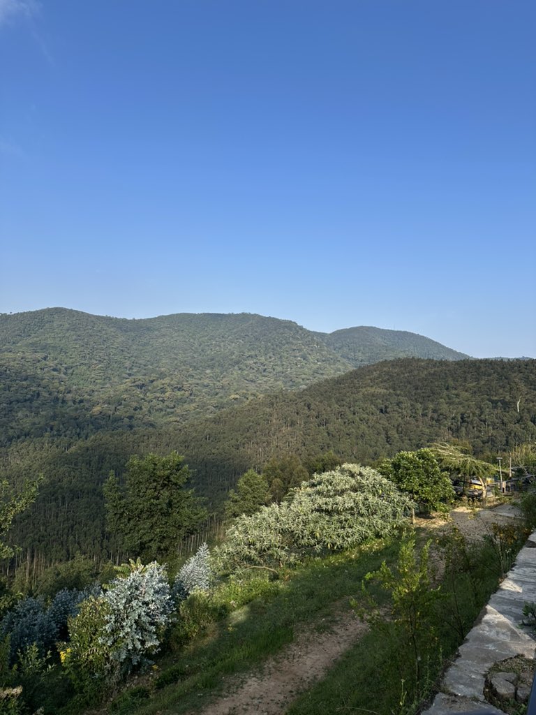 _Ndabaga_'s tweet photo. Murebe ubu bwiza, amahoro n’ ubukungu Inkotanyi za haraniye kudutuzamo. Mwarakoze kubohora uru Rwanda rwiza nabarwo! 

Looking at these hills of peace on a day such as this, knowing we probably wouldn’t have been this privileged to call this home, be born and raised in safety and move in all corners with no fear or uncertainty of the next hour or day, all I can feel is praise and thankfulness for every brave individual who dared move towards a dark, unsafe country to reclaim her. We are truly thankful and forever indebted to you all❤️

Happy 31st Liberation Day Rwanda🇷🇼✊

#Kwibohora31 #RwandaNziza #LiberationDay #MwarakozeInkotanyi