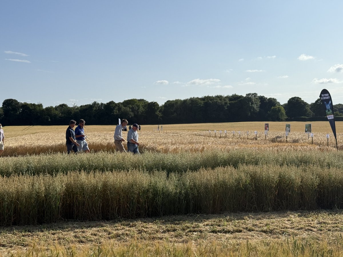 Syngenta UK (@syngentauk) on Twitter photo And that's a wrap!
Thank you to everyone who joined us at our Open Days over the last few weeks. You made these events truly special and we couldn’t have done it without you.
If you have any pictures you’d like to share, don’t forget to tag us <a href="/SyngentaUK/">Syngenta UK</a>
We have many more And that's a wrap!
Thank you to everyone who joined us at our Open Days over the last few weeks. You made these events truly special and we couldn’t have done it without you.
If you have any pictures you’d like to share, don’t forget to tag us <a href="/SyngentaUK/">Syngenta UK</a>
We have many more