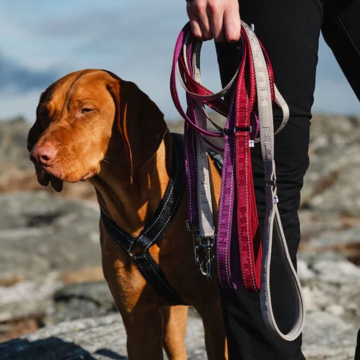 Hurtta Casual reflective lead is solid and durable, equipped with two extra handles to allow for better control of the dog in difficult situations. The padded grip makes the lead pleasant to use, and the reflectors ensure visibility in the dark.

purrfectlyyappy.com/collections/hu…