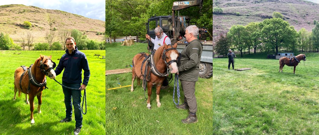 CoventryCAWR's tweet image. This is a reminder of our Power Ponies Project event happening tomorrow:
📆 Saturday 5th July 2025
🕓 10:30 - 14:30 pm UK Time zone (GMT)
Click here to register: bit.ly/4e7S76h