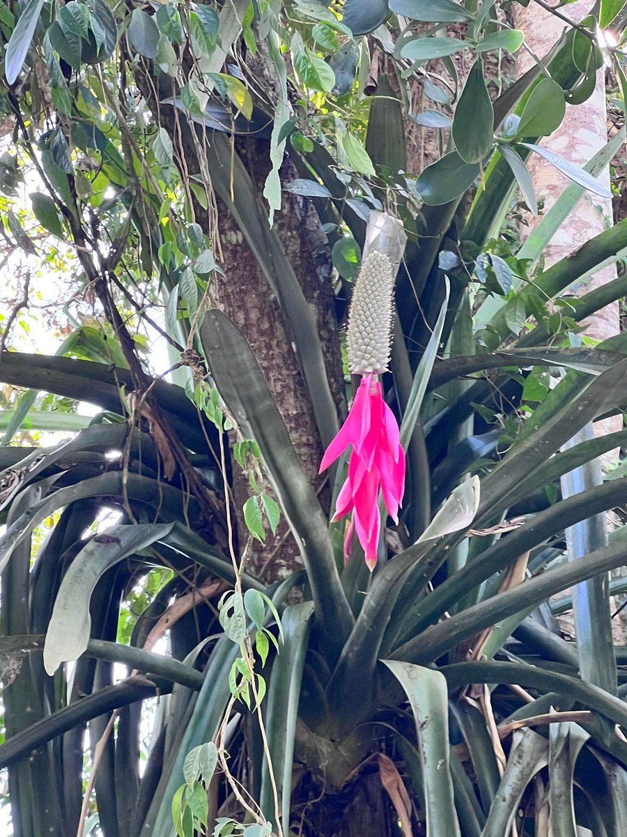 💥¡Buenos días camaradas!