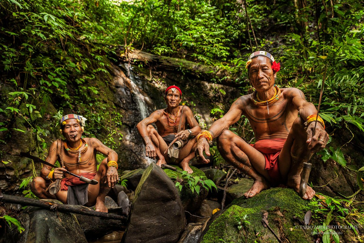 Tariq Zaidi (@tariqzaidiphoto) on Twitter photo The Mentawai Sikerei, shaman, possess an infinite knowledge of the rainforest and how each individual plant and animal species can or can’t be used to benefit their survival.
Image by <a href="/tariqzaidiphoto/">Tariq Zaidi</a> 2014 #Mentawai Islands, #Indonesia The Mentawai Sikerei, shaman, possess an infinite knowledge of the rainforest and how each individual plant and animal species can or can’t be used to benefit their survival.
Image by <a href="/tariqzaidiphoto/">Tariq Zaidi</a> 2014 #Mentawai Islands, #Indonesia