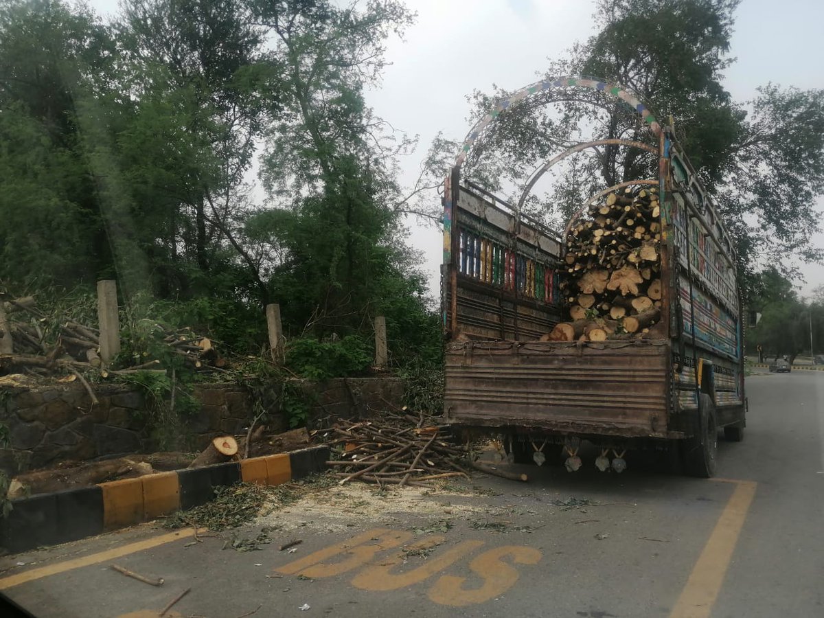 Riaz ul Haq (@riazhaq) on Twitter photo Massive tree cutting in Sector G-8/2, near Chaman Metro Station. CDA must plant trees in Monsoon instead of cutting it. <a href="/CDAthecapital/">Capital Development Authority - CDA, Islamabad</a> Massive tree cutting in Sector G-8/2, near Chaman Metro Station. CDA must plant trees in Monsoon instead of cutting it. <a href="/CDAthecapital/">Capital Development Authority - CDA, Islamabad</a>