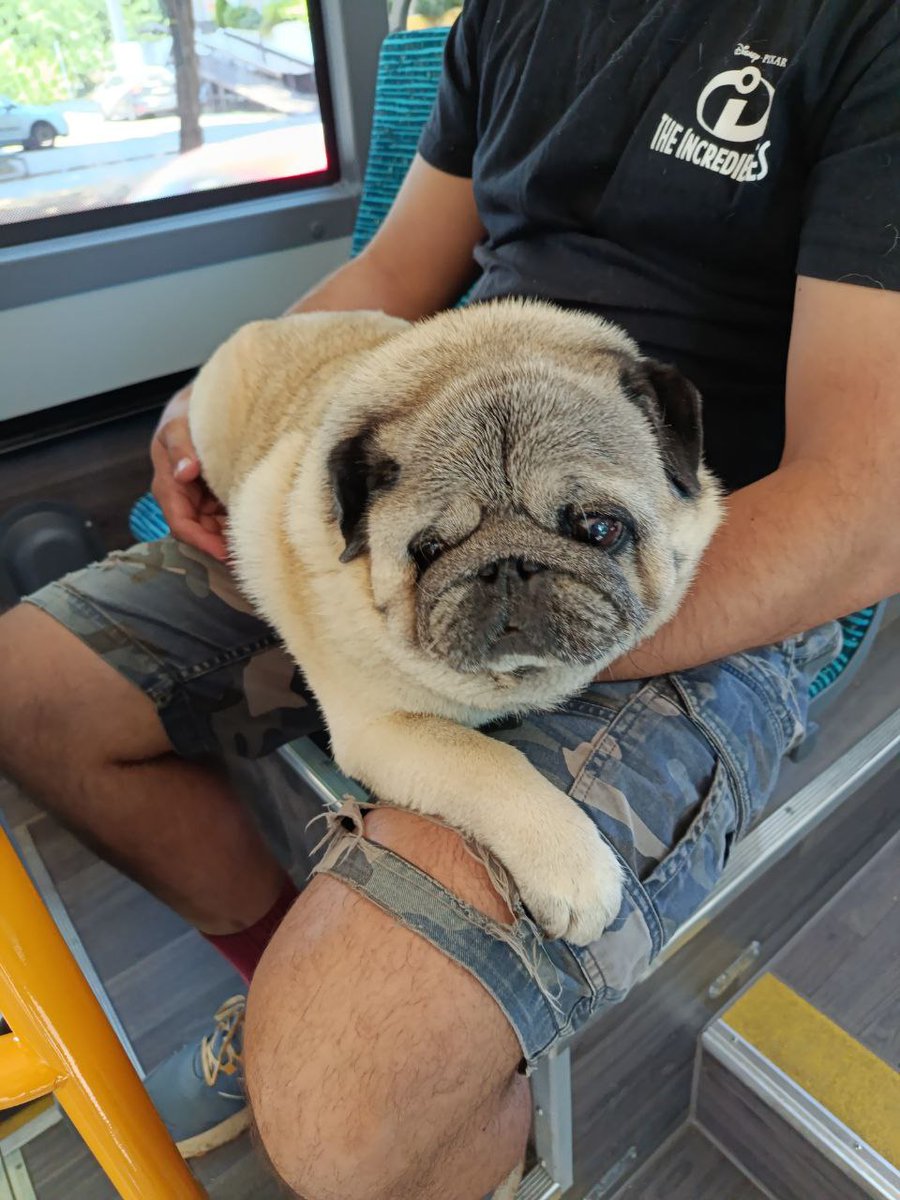 Ковач оружар ⚒️ tweet media