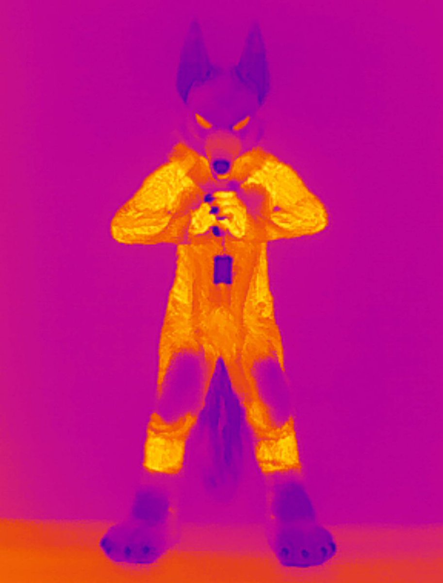 AnubisFurdance's tweet image. Let me show you just how hot I am.

#NFC #NordicFuzzVon #fursuitfriday #furryfriday #thermalcamera