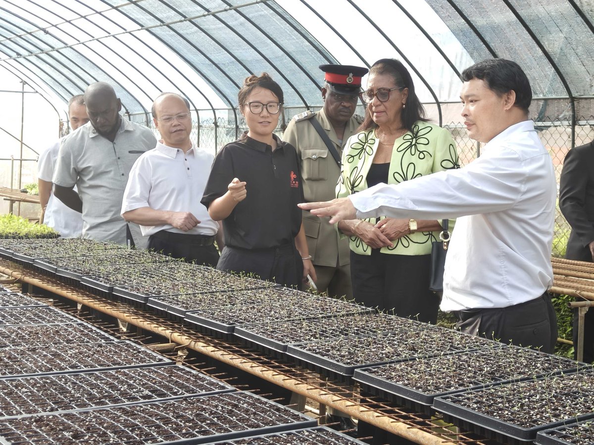 On a visit to the China-Grenada Agricultural Technical Cooperation Project, Governor General of Grenada Cécile La Grenade emphasized that the agricultural project enjoys high popularity and has a significant socioeconomic impact in Grenada. gd.china-embassy.gov.cn/eng