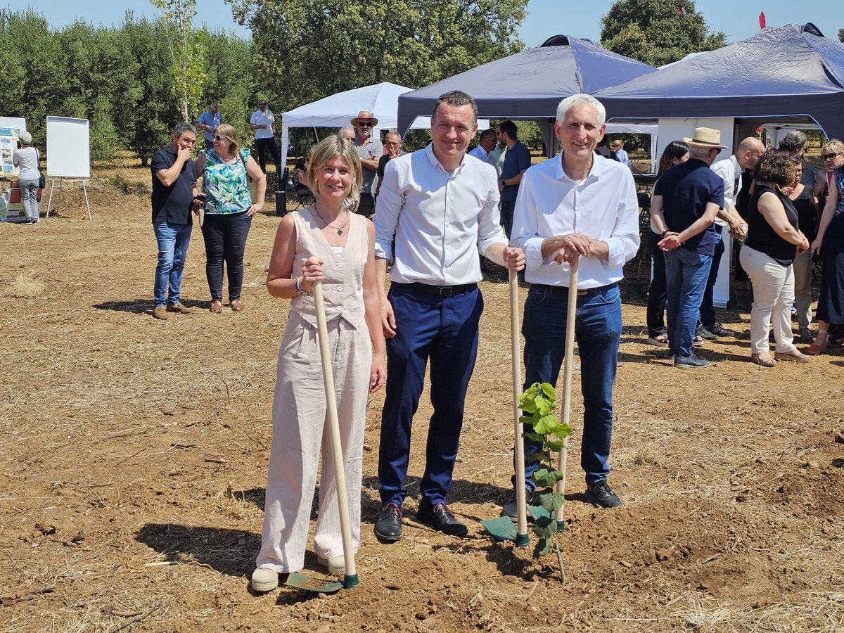 🎙La presidenta <a href="/nllaurado/">Noemí Llauradó Sans</a> : "El suport de la Diputació de Tarragona a l'avellana i a l'agricultura en general no només incideix en el producte sinó que va més enllà, perquè impulsar la pagesia o la ramaderia també evita l'abandonament de conreus, els incendis i el despoblament".