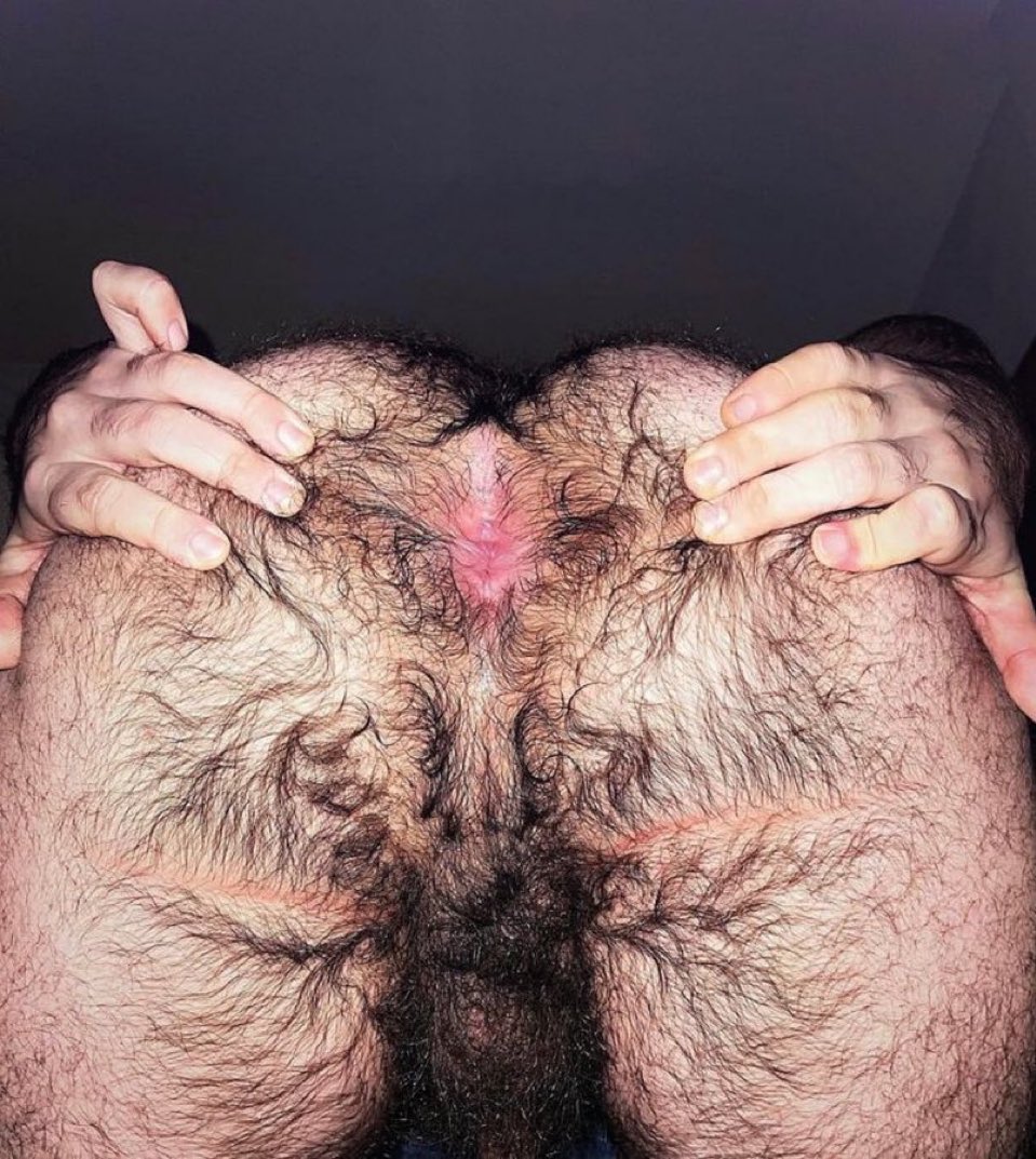 Culos Peludos 🍑 (@culospeludos_) on Twitter photo 