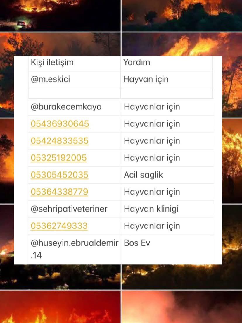 duru roy⁶³ 🇬🇧 tweet media