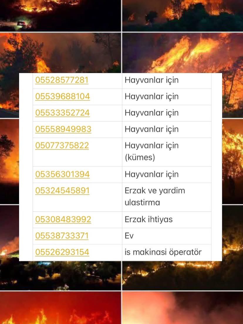 ÖDEMİŞ GÜNCEL YARDİMLASMA NUMARALARİ