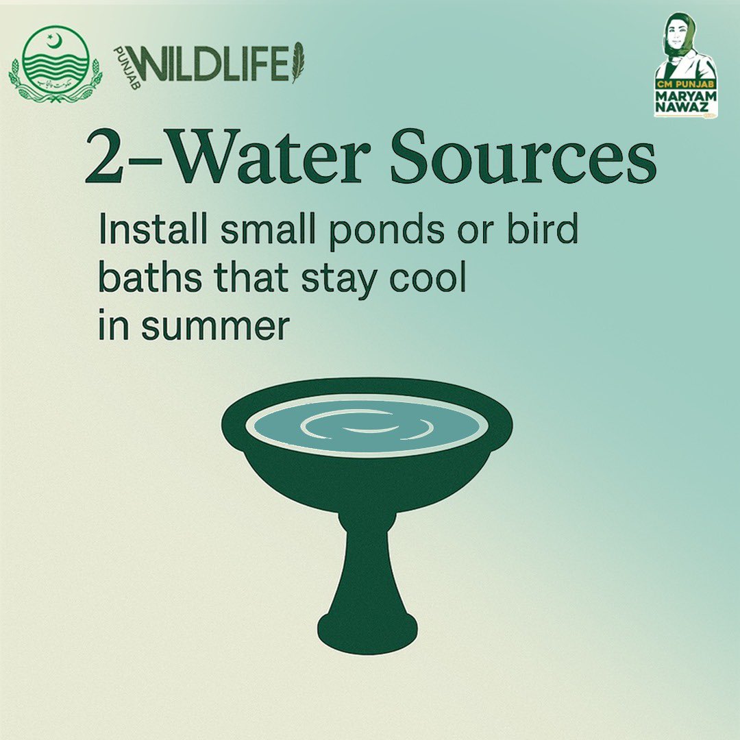 Punjabwildlife_'s tweet photo. Help protect Punjab's local species from climate change. Support conservation initiatives to preserve our biodiversity for future generations.
.
.
#wildlife #climatechnage #plants #watersources #awarenesspost #wildspecies #punjabwildlife #wildlifeandparks #Govt #climate #fyp https://t.co/WCqqUgP7Jj