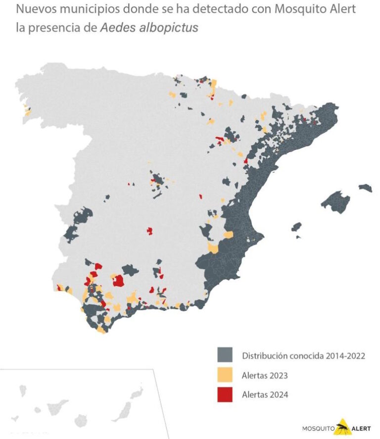 ceabcsic's tweet image. 🦟 El mosquit tigre s’ha detectat en 156 municipis des de 2023! @Mosquito_Alert
La col·laboració ciutadana i un nou algoritme d’#IA que identifica espècies en menys de 5 min, s’activen alertes ràpides ⚠️ @CREAF_ecologia @UPFBarcelona @icreacommunity
🔗 bit.ly/4leVgUI