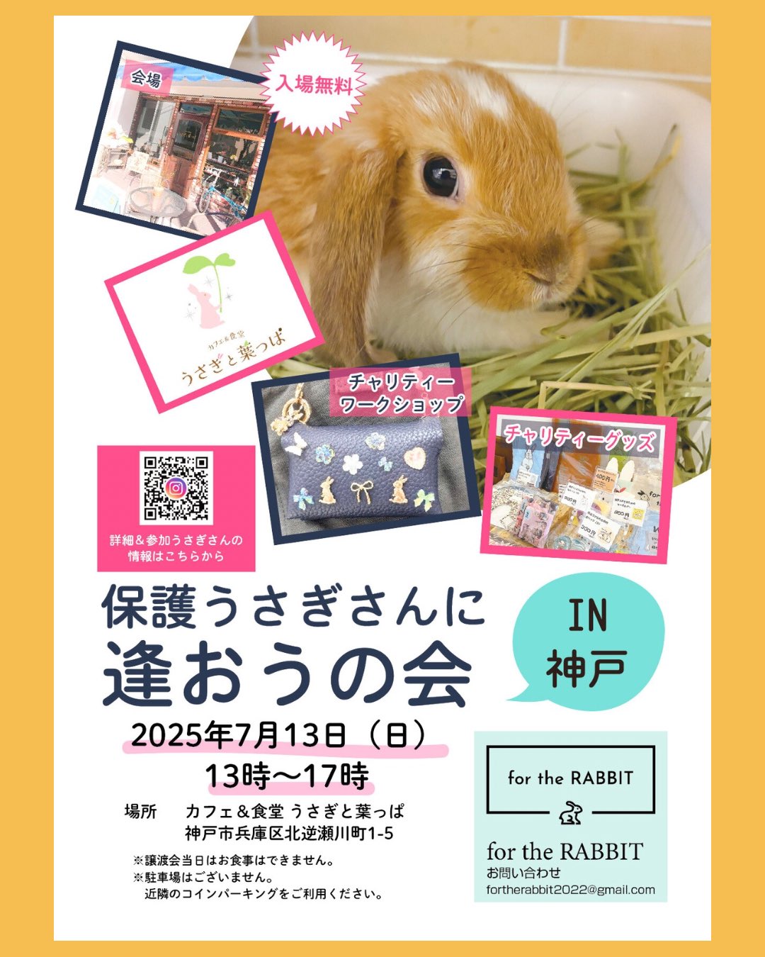 for the RABBIT on X: 