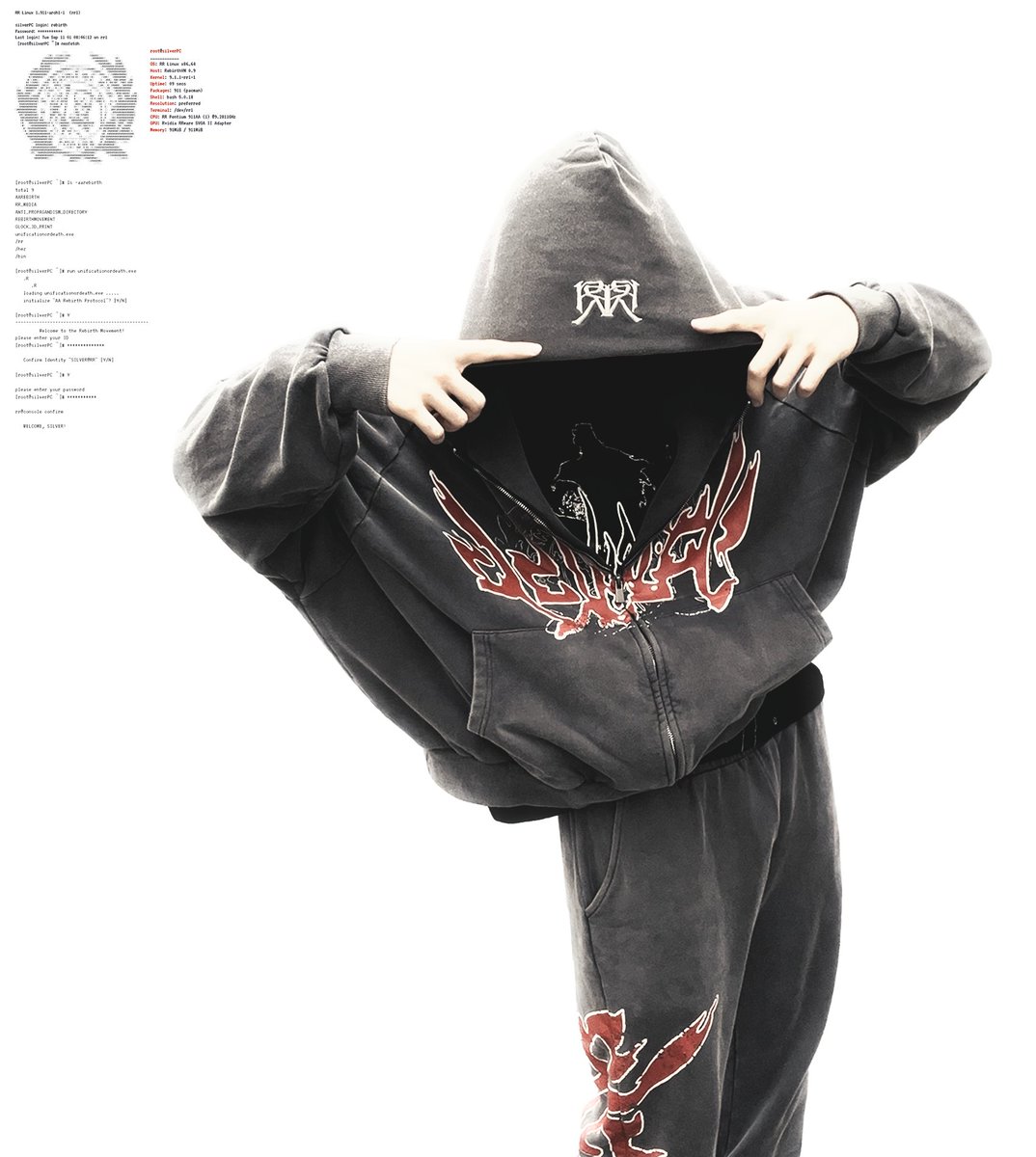 REBORN REBIRTH tweet media