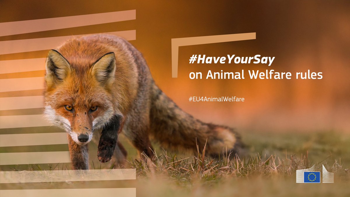 🐾#HaveYourSay on EU Animal Welfare rules!
Following the ECI 'Fur Free Europe' we launched a Call for Evidence &amp; want insights from relevant stakeholders.
Help shape the future of animal welfare!
Deadline for feedback: 1 August
🔗europa.eu/!tgx7rt
#EU4AnimalWelfare