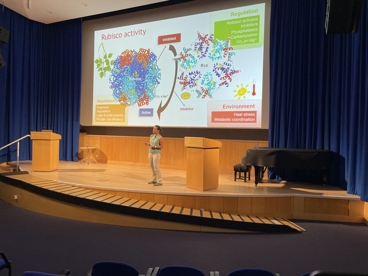Nick Talbot (@talbotlabtsl) on Twitter photo Great talk by <a href="/ecarmosilva/">ElizabeteCarmo-Silva</a> on the challenges of improving rubisco efficiency for enhanced photosynthetic resilience under climate change. Fascinating insights. <a href="/JohnInnesCentre/">John Innes Centre</a> <a href="/TheSainsburyLab/">The Sainsbury Laboratory</a> Great talk by <a href="/ecarmosilva/">ElizabeteCarmo-Silva</a> on the challenges of improving rubisco efficiency for enhanced photosynthetic resilience under climate change. Fascinating insights. <a href="/JohnInnesCentre/">John Innes Centre</a> <a href="/TheSainsburyLab/">The Sainsbury Laboratory</a>