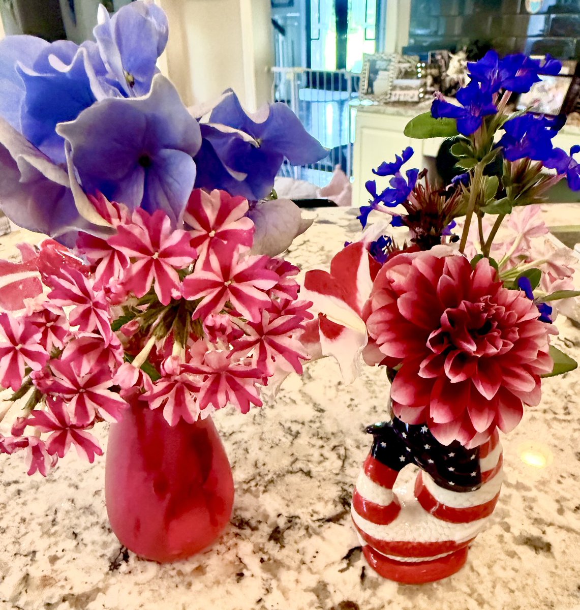 idpharmd's tweet image. #happy4thJuly 💥 notice the red ❤️ flower #freedom #fireworks #family #fun #Independence Day @PedsPharmD @StewardshipJAX @TheBack140 @IDRoadrunner @hboucher3