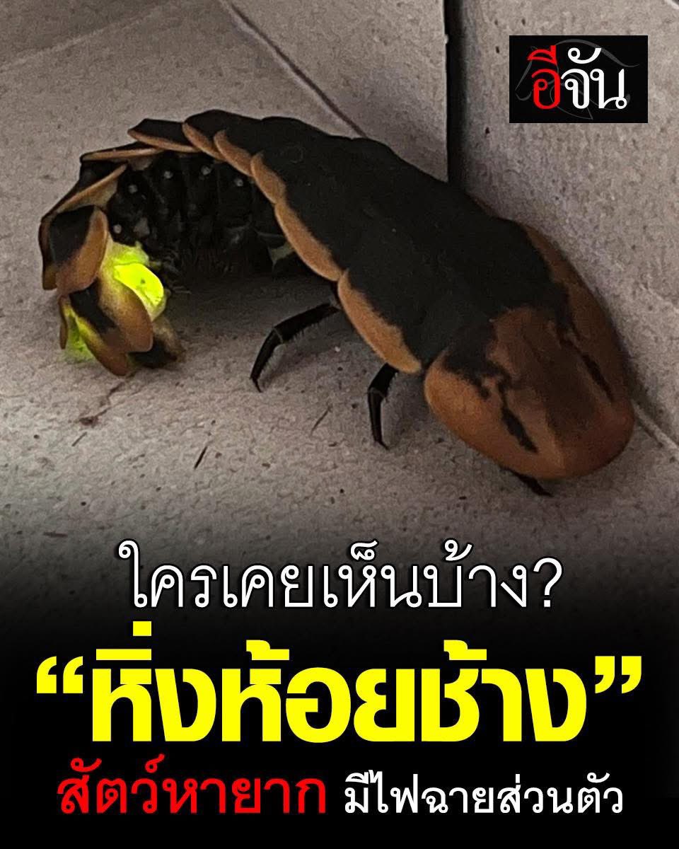 อีจัน tweet media