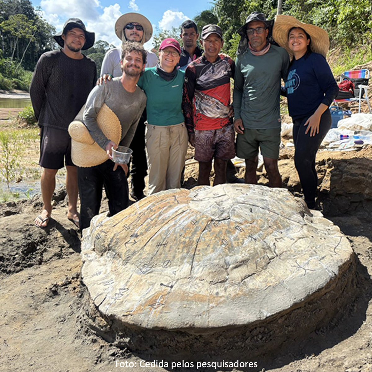 “Os segredos da Amazônia estão por toda parte”
Pesquisadores do Acre e de São Paulo encontraram fósseis de uma tartaruga gigante extinta, com até 1,5 metro de comprimento, na região do Alto Juruá. Mais uma vez, a floresta revela fragmentos de sua história profunda, e nos lembra