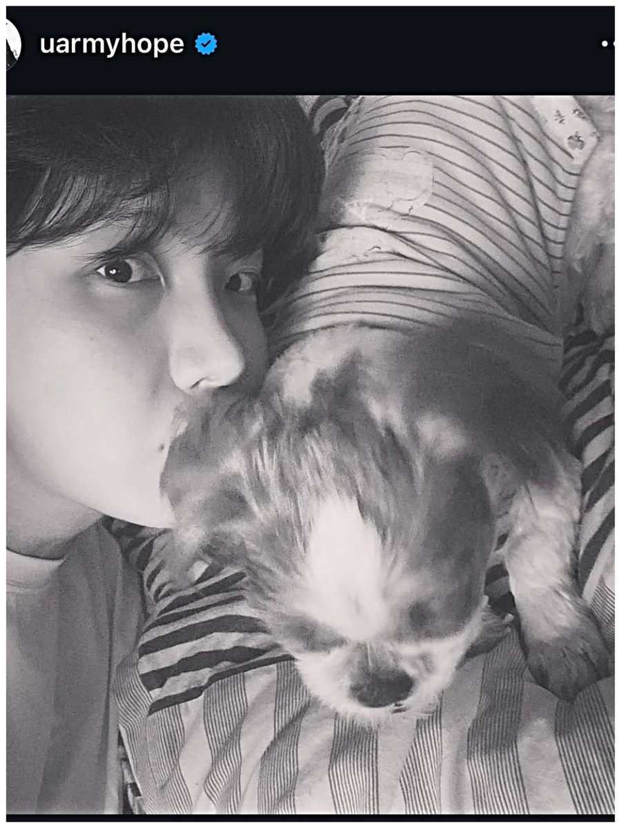 0218 Smile-hoya๏ผใปใใงใ๐ฟ๏ธ๏ผ (@0218hoya) on Twitter photo 2022ๅนด2ๆ
็ฌใฎไฟ่ญทๆฝ่จญใซ
ๅๅใๅไนใใ
ๅฑๆ นใฎ่ฃไฟฎๅทฅไบใฎๆฏๆด
ๅพใซ็ฌ่ๅ
จไฝใฎ็ซใฆ็ดใ
ใใพใ ใซ็ถ็ถใใใ้ฃๆๆฏ็ตฆ
ไฝๅบฆใๆญใ็ถใๆฒ้ปใๅฎใฃใฆใใ
่ฒฌไปป่
ใๆจใฆ็ฌใซๅฏพใใ้ขๅฟใซ
็นใใใใจใ้กใใใใใฎไธ้ฃใฎ
่กๅใๆใใใ
ๅ
ตๅฝนไธญใ็ฌใฎๆฒป็้ฟๅฆๆ่กใๆฏๆด 2022ๅนด2ๆ
็ฌใฎไฟ่ญทๆฝ่จญใซ
ๅๅใๅไนใใ
ๅฑๆ นใฎ่ฃไฟฎๅทฅไบใฎๆฏๆด
ๅพใซ็ฌ่ๅ
จไฝใฎ็ซใฆ็ดใ
ใใพใ ใซ็ถ็ถใใใ้ฃๆๆฏ็ตฆ
ไฝๅบฆใๆญใ็ถใๆฒ้ปใๅฎใฃใฆใใ
่ฒฌไปป่
ใๆจใฆ็ฌใซๅฏพใใ้ขๅฟใซ
็นใใใใจใ้กใใใใใฎไธ้ฃใฎ
่กๅใๆใใใ
ๅ
ตๅฝนไธญใ็ฌใฎๆฒป็้ฟๅฆๆ่กใๆฏๆด