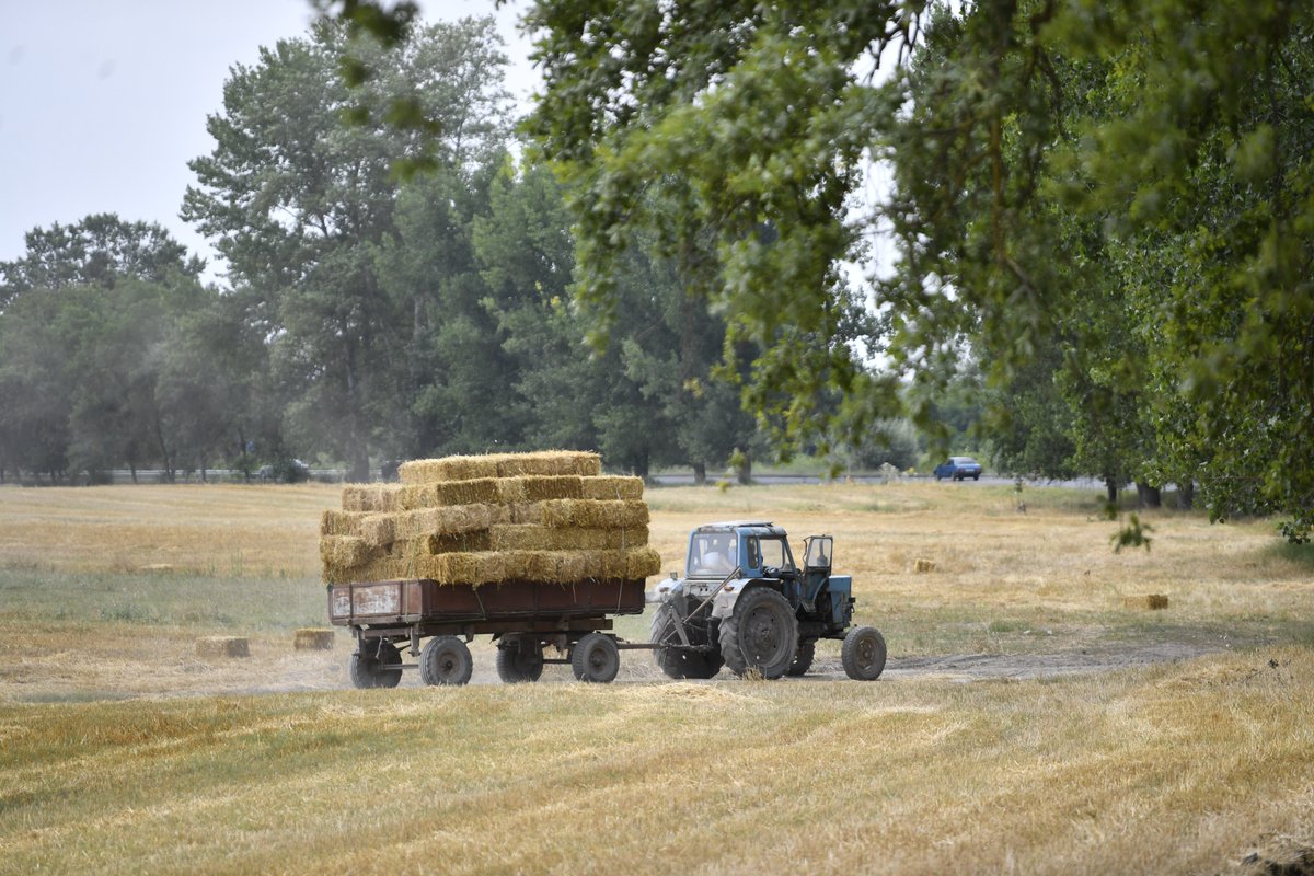 Operativ məlumat: Taxıl zəmilərinin 70,4 faizində biçin başa çatıb
DAHA ƏTRAFLI: agro.gov.az/az/news/0407251