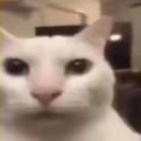 肌肉聚集地 tweet media