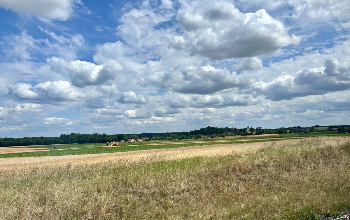 Bruce R. Mendelsohn (The Hired Pen) (@brm90) on Twitter photo Atypical of #German precision and punctuality, <a href="/DB_Presse/">Deutsche Bahn AG</a> EC59 from #Berlin to #Krakow is running 45 minutes behindābut the views are spectacular after crossing the Oder into Central #Poland. #DeutscheBahn #travel #tourism <a href="/PKPIntercityPDP/">PKP Intercity</a> Atypical of #German precision and punctuality, <a href="/DB_Presse/">Deutsche Bahn AG</a> EC59 from #Berlin to #Krakow is running 45 minutes behindābut the views are spectacular after crossing the Oder into Central #Poland. #DeutscheBahn #travel #tourism <a href="/PKPIntercityPDP/">PKP Intercity</a>