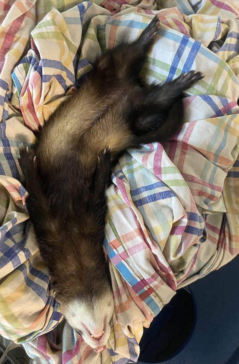 How your email finds me