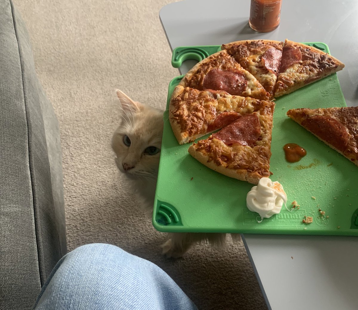 SignorDexter's tweet image. Italian 🇮🇹 word of the day is….

FETTA (SLICE) 

posso avere una fetta di pizza? 

can I have a slice of pizza? 🥺