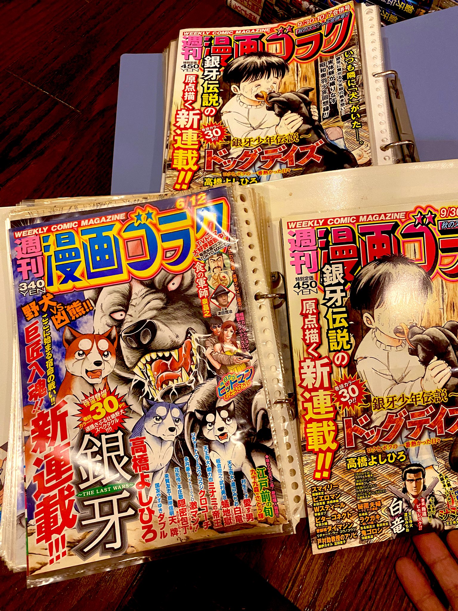 高橋よしひろ先生　手ぬぐい 高橋よしひろ先生 手ぬぐい 🌌高橋よしひろ先生新連載🌌銀牙伝説