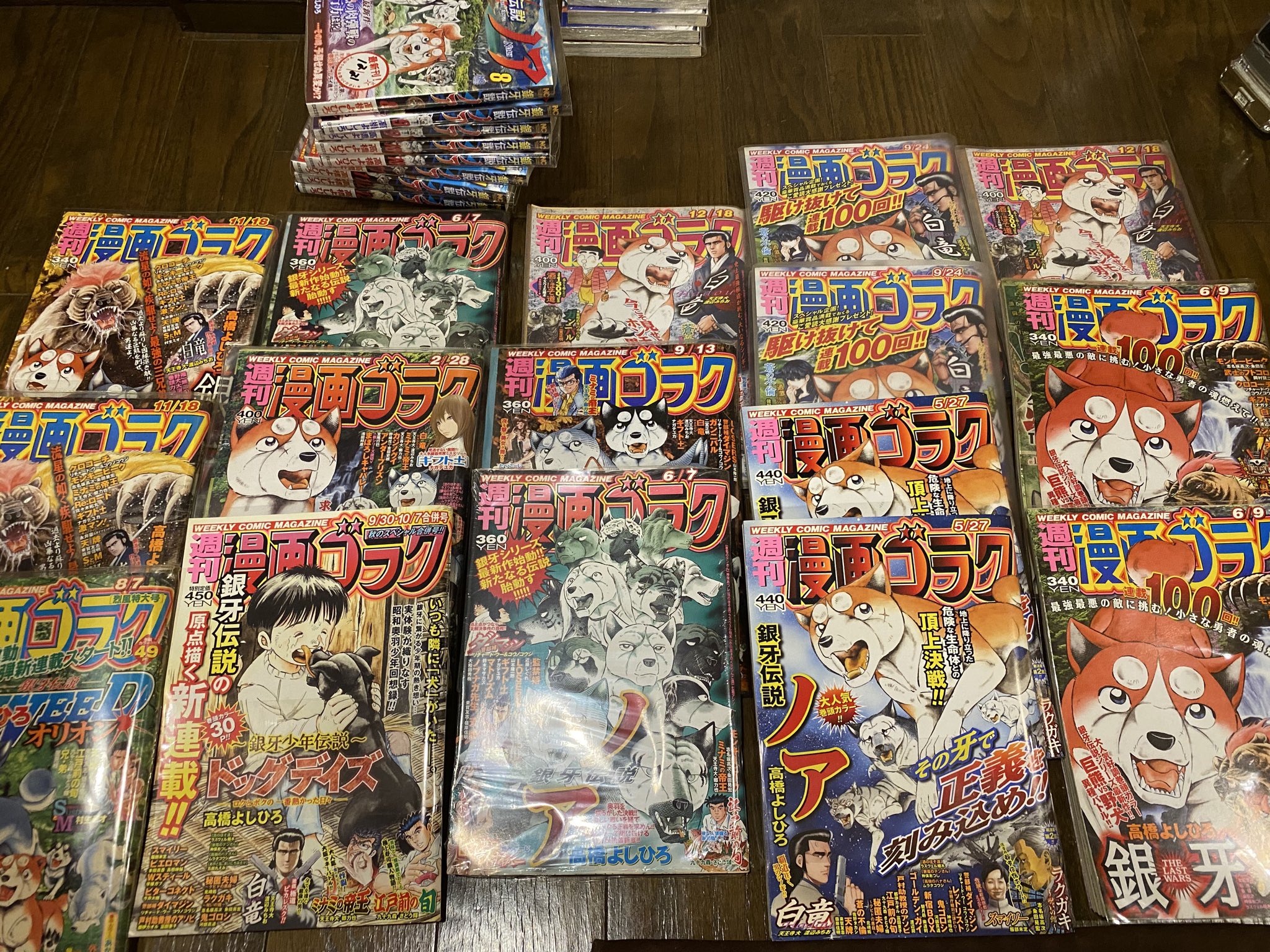 🌌高橋よしひろ先生新連載🌌銀牙伝説レクイエム🌌 on X: 