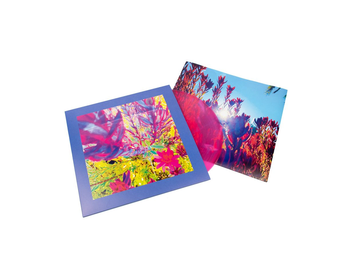 Fire Records (@firerecordings) on Twitter photo Out today: The Reds, Pinks and Purples (<a href="/GlennDonaldson/">The Reds, Pinks & Purples</a>) 'The Past Is A Garden I Never Fed' 🌻 Available in Limited Edition Neon Pink LP & CD: TheRedsPinksandPurples.lnk.to/TPiaGINF
RELEASE LIVE DATES
18 Jul: Crepe Place, Santa Cruz, CA, US
19 Jul: 4 Star Theater, San Francisco, CA, US Out today: The Reds, Pinks and Purples (<a href="/GlennDonaldson/">The Reds, Pinks & Purples</a>) 'The Past Is A Garden I Never Fed' 🌻 Available in Limited Edition Neon Pink LP & CD: TheRedsPinksandPurples.lnk.to/TPiaGINF
RELEASE LIVE DATES
18 Jul: Crepe Place, Santa Cruz, CA, US
19 Jul: 4 Star Theater, San Francisco, CA, US