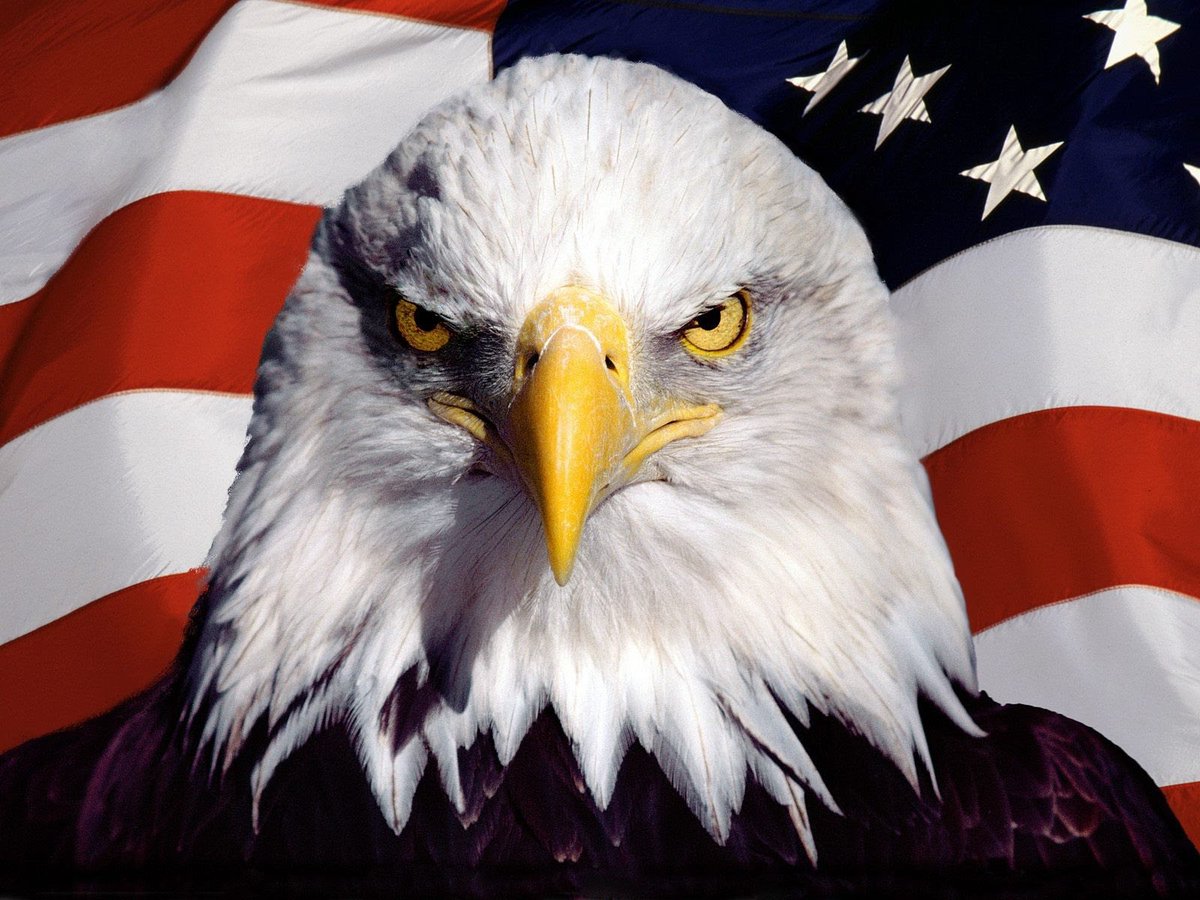 Let Freedom Reign.