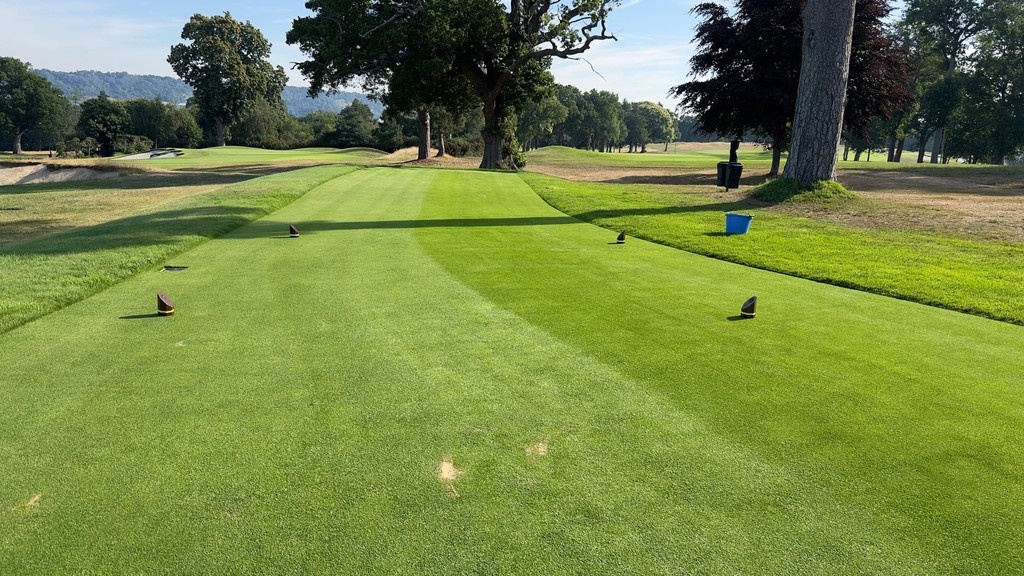Tees are coming up beautifully after a cut 🏌️‍♂️⛳

@COMPOEXPERTTURF’s Floranid Twin Eagle Master giving a fantastic response on the tees at @TandridgeGC, helping to thicken the sward &amp; push growth through periods of increased usage.

@andrewnorman76