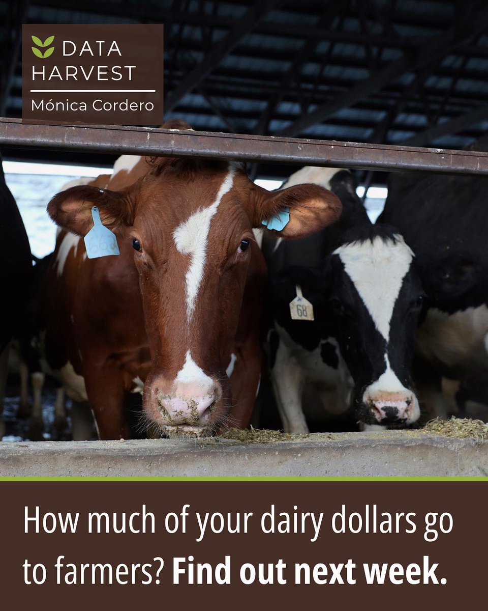 Ice cream season is here, but how much of that cone supports the dairy farmer?

Stay tuned til next week to see where your money actually goes.

#DairyDollars #FoodFacts