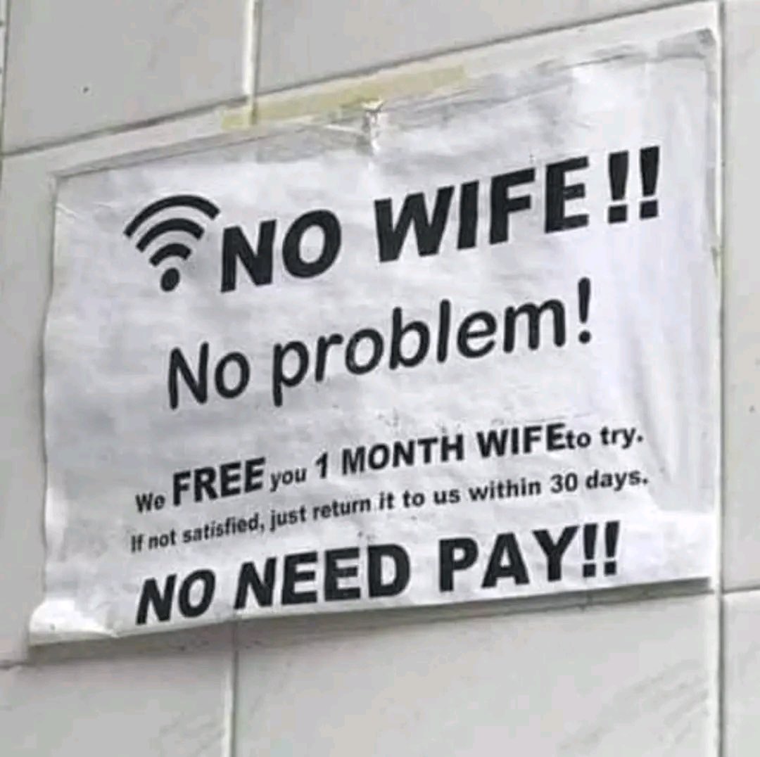 Tly wife, FLEE one month! You no happy, leturn.