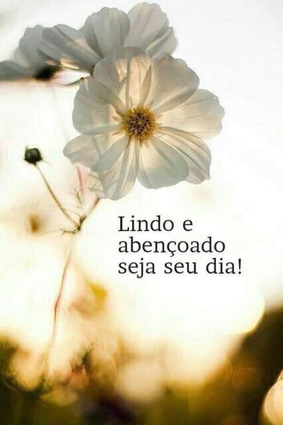 Um dia de bençãos e vitórias para todos vcs ♥️🙏🏻