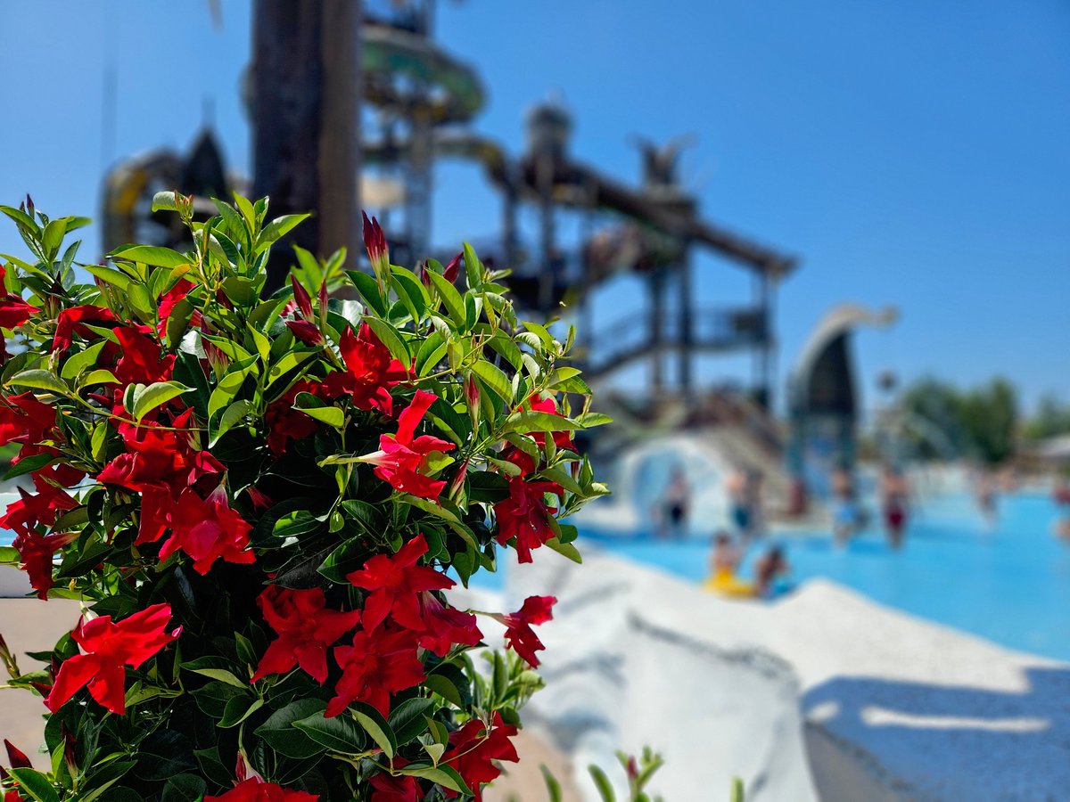 Water Park day 💦🍹

Since we were last here five years ago, Rulantica has had a HUGE expansion! 

We're looking forward to a relaxing day in the sun ☀️