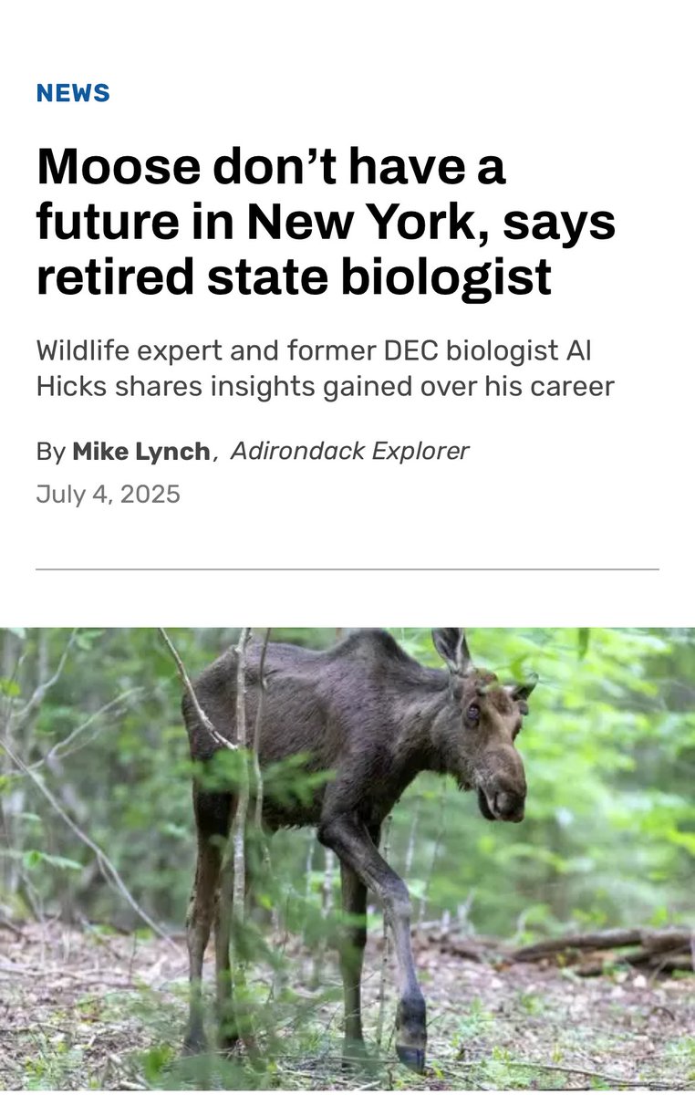 I feel ya, moose