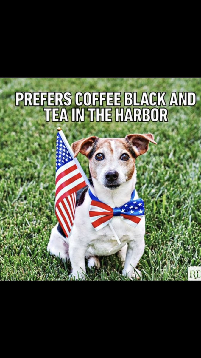 Good morning Patriots. Happy Independence Day