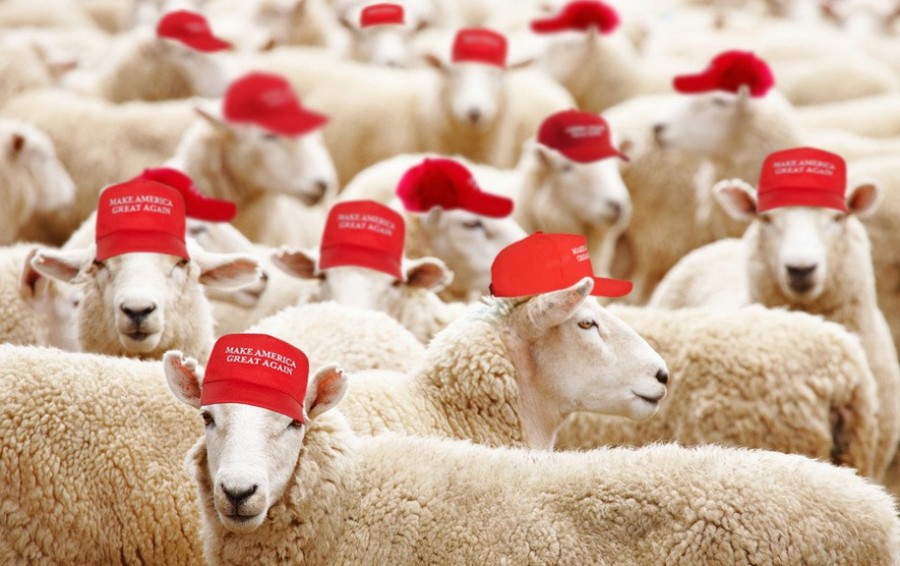 ahmjus's tweet image. #Happy4thofJuly to all Americans except for Perps who've committed Acts of Violence against women, girls &amp;amp; females - AND those evangelical merica-ns who've voted for or Enabled the GrabThemByThePu55y AdjudicatedRAPIST.
#TeamRapist has Official Hats...

&amp;amp; Veterans will tell you...