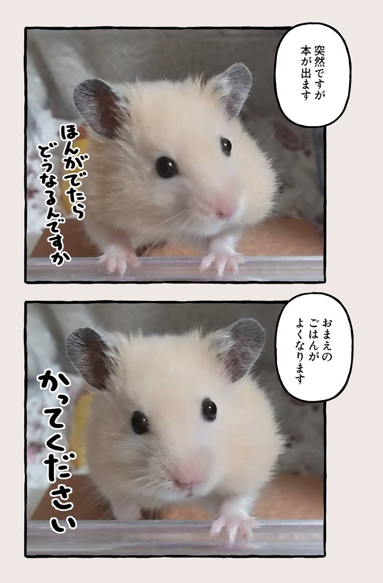 ⚠️えびてん⚠️ えびてん (@ebi_for_rr) / X