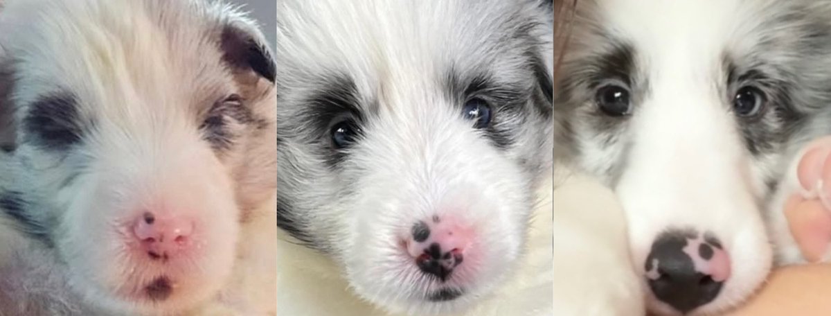 🤗😘😚😙😗😘🤗😘😘🤗😘😙😗😘🤗🥰😘🥰😍😘🤗🥰🤗😗😙😘🥰😍😙😗🥰🤗🥰😘😙 #คุณหนูเจเนท