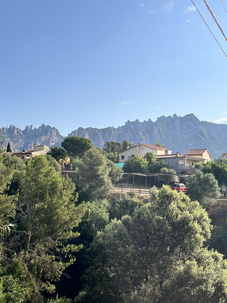 Sarah Roth tweet media