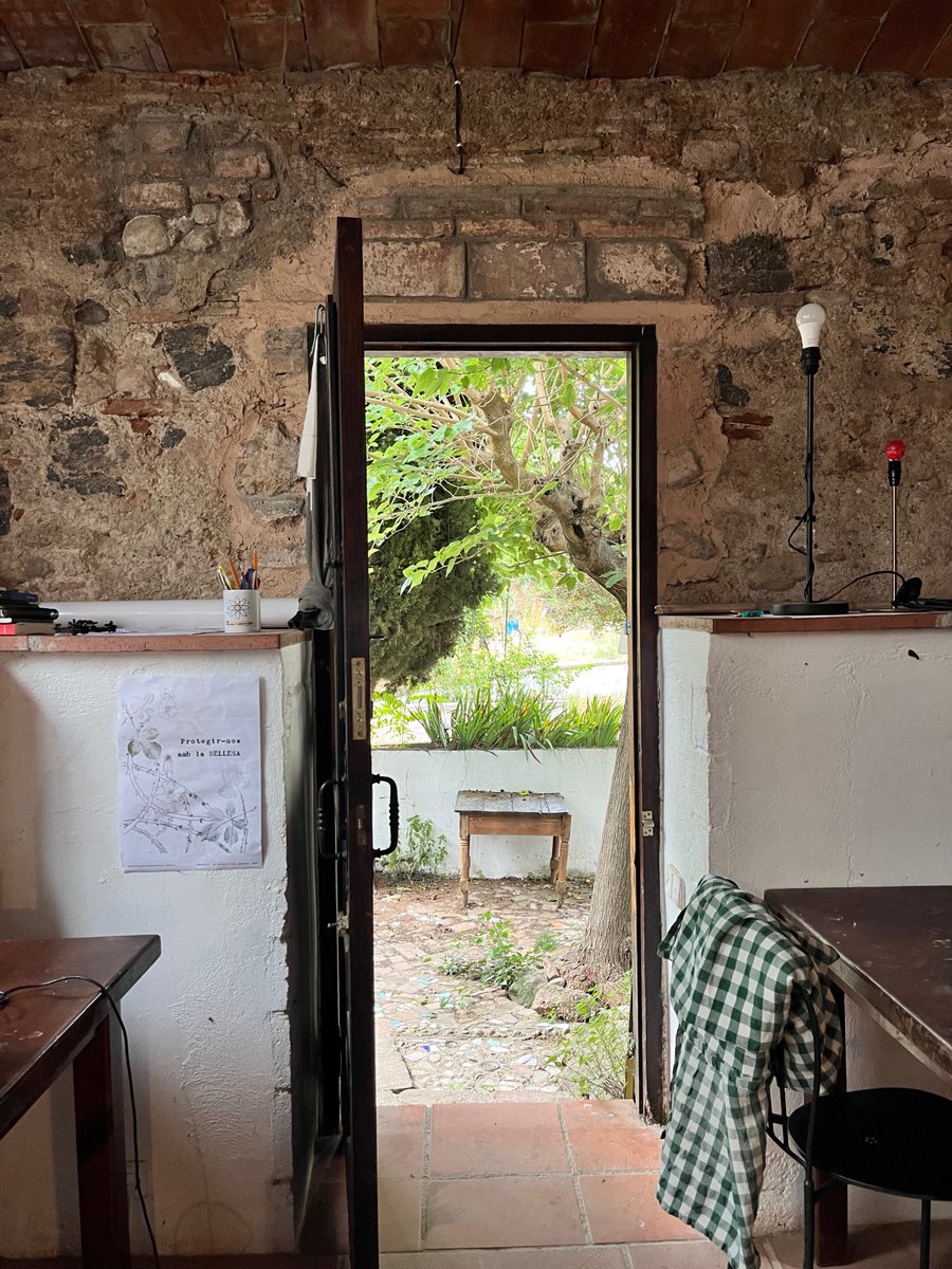 Sarah Roth tweet media